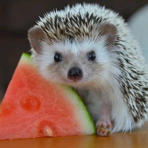 Meet your Posher, Heather